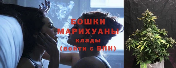 прущая мука Инта