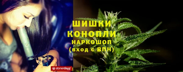 стаф Инсар