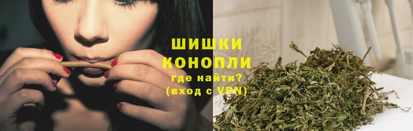 прущая мука Инта