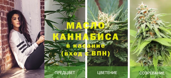 прущая мука Инта