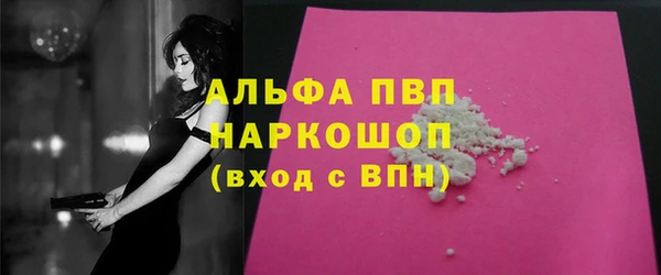 стаф Инсар