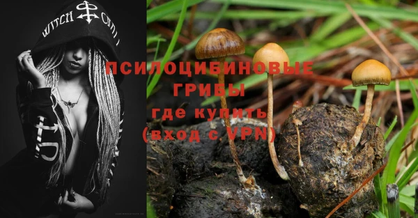 стаф Инсар