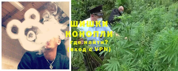 стаф Инсар