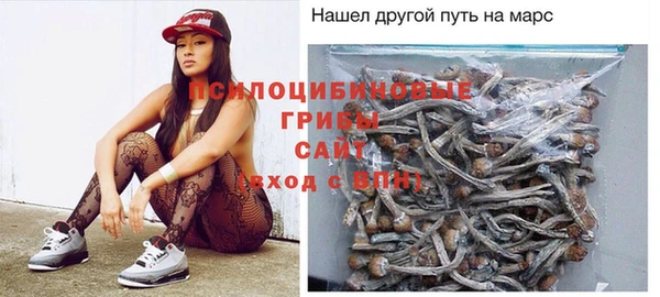 прущая мука Инта