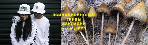 стаф Инсар