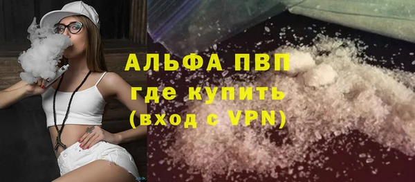 стаф Инсар