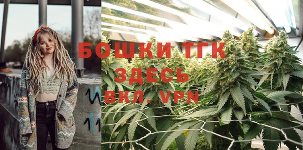 прущая мука Инта