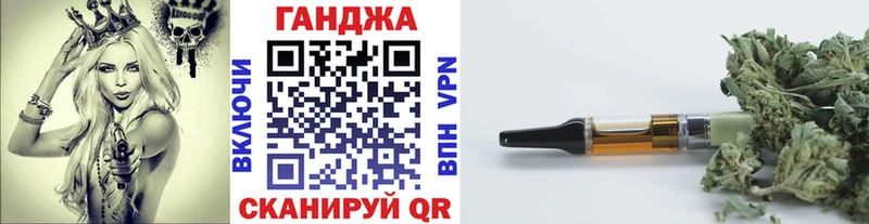 Купить  Бологое  Канабис сатива 